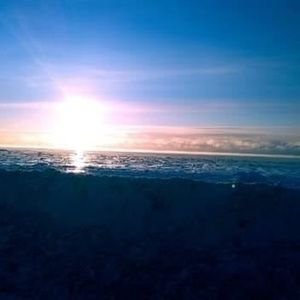 Meet your Posher, Sylvie